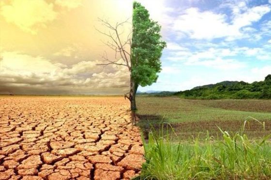 CAP2E : les instruments d’évaluation environnementale disponibles                              